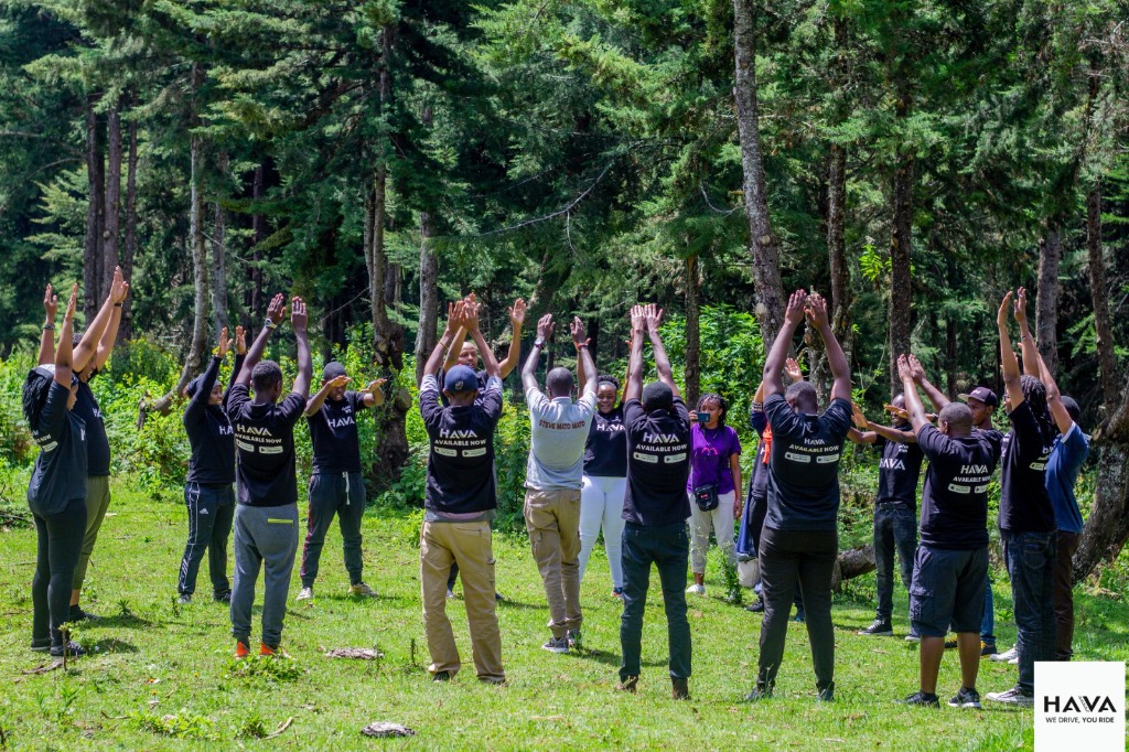 Outdoor team building activity